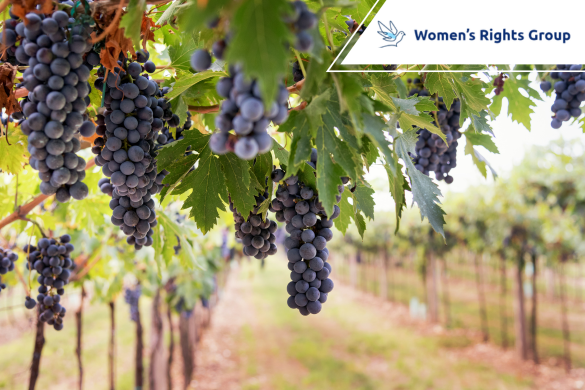 abuso sexual sistemático